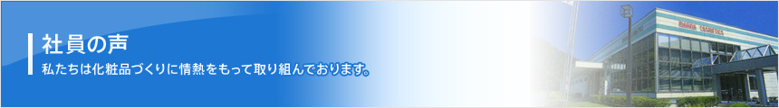 社員の声